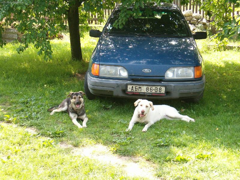 Foto: S�rina a Niky hl�daj�-Holky hl�daj� zda se n�kam nepojede a kdy� jo, tak teda ne bez nich!