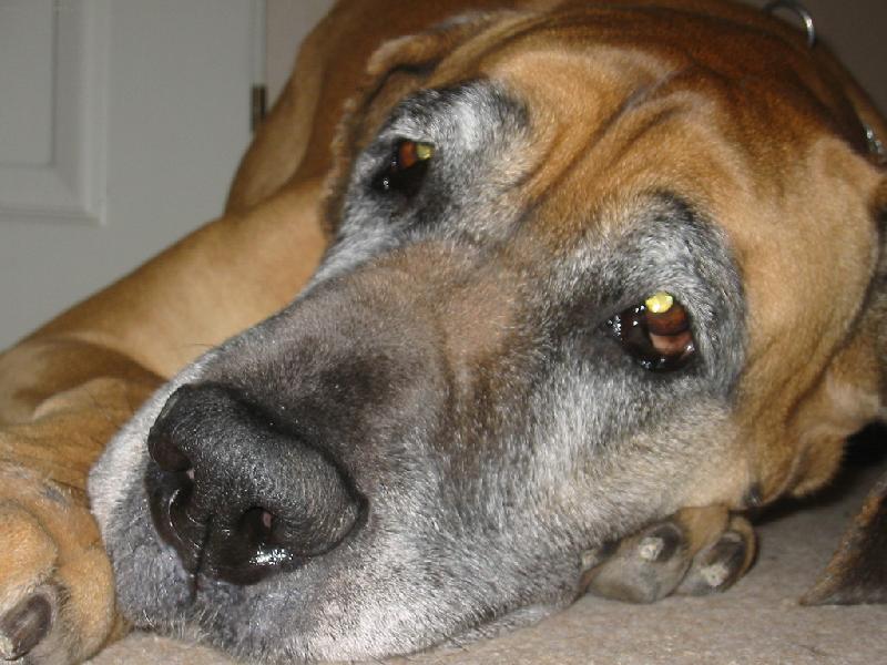 Foto: Vikinka-pohled kter� jsme nade v�e milovali ...