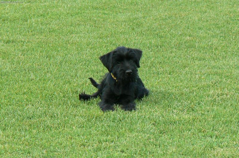 Foto: J� jsem Xira-V�dy ve st�ehu