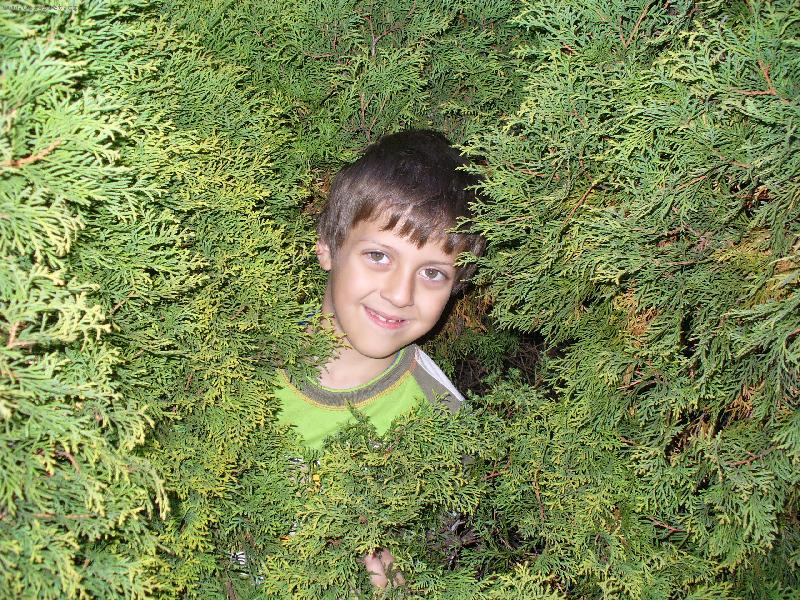 Foto: Maskov�n�-Kuk! Tady jsem.