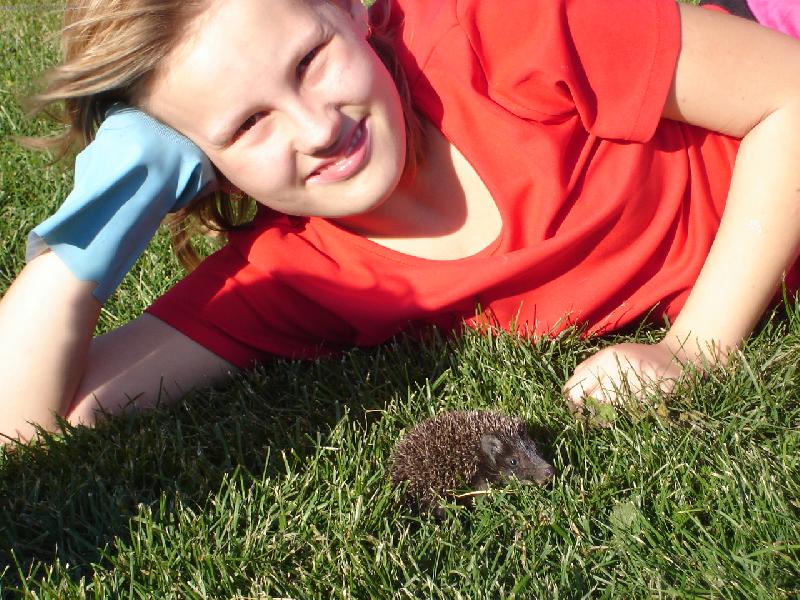 Foto: Je�e�ek-mal� je�ek