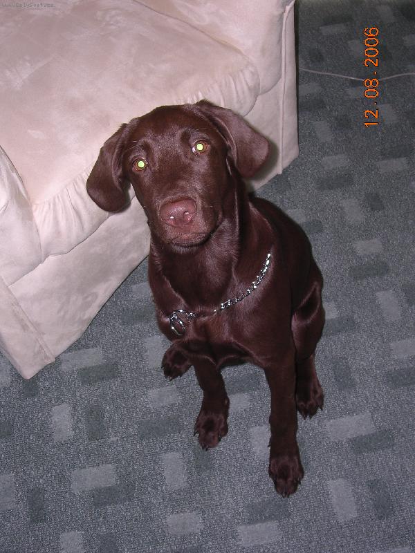 Foto: Jenny-Na�e ufonsk� fene�ka Jenny