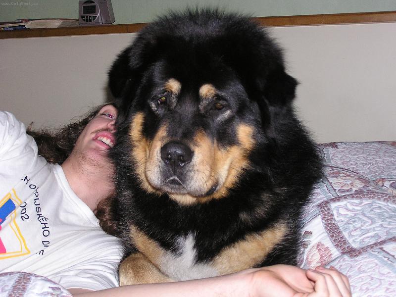 Foto: Pohoda, kl�dek, leh�ro ....-Bond odpo��v� s br�chou Adamem