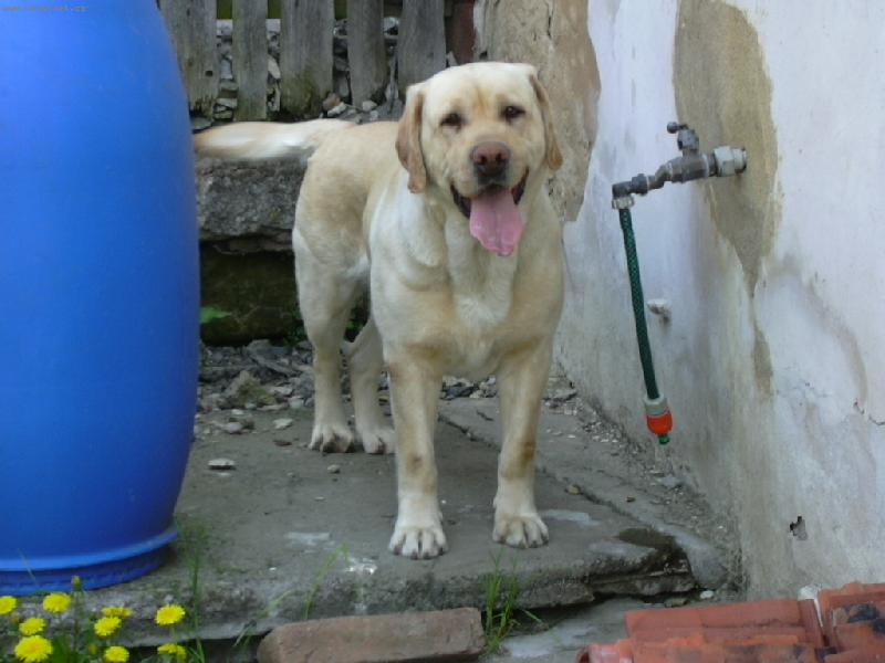 Foto: Vid�te jak se kr�sn� sm�je?-Bud