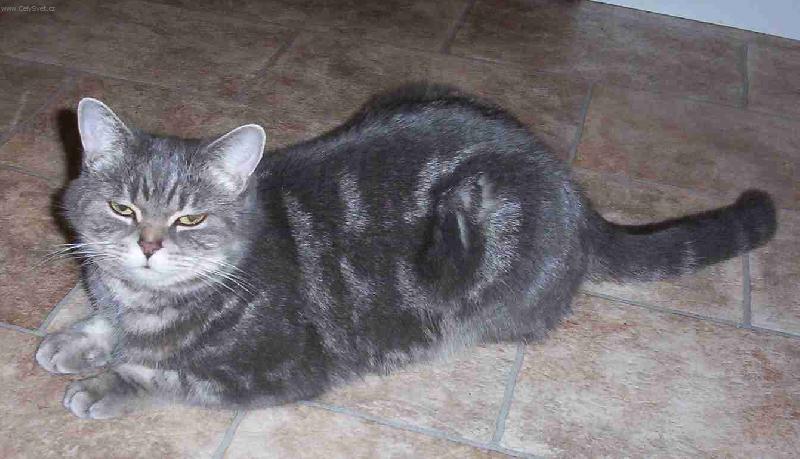 Foto: Krist�na-.:v kuchyni:.