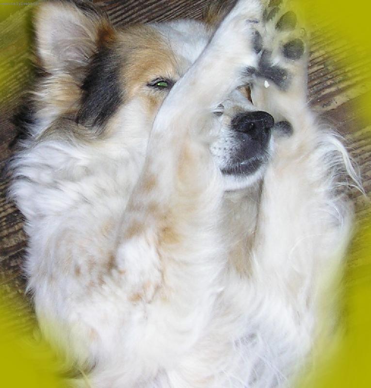 Foto: f�k modelem-f�k se sm�je