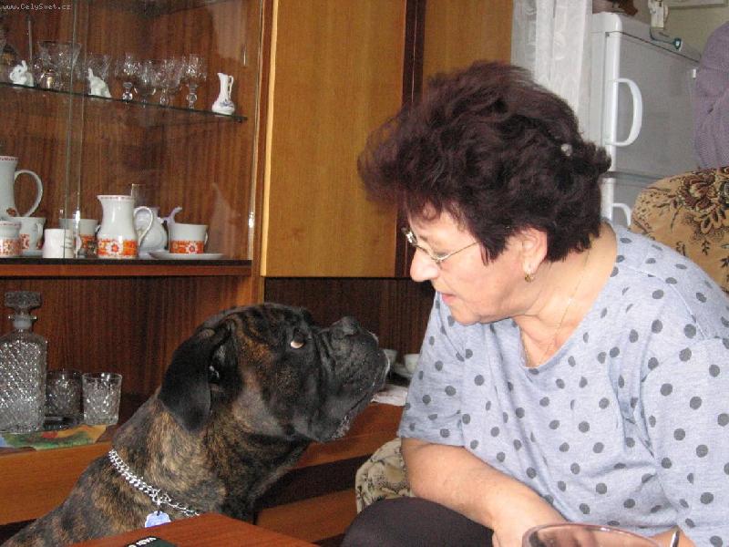 Foto: Hypnozit�rka-Pani�ko,tak u� p�jdem ven?