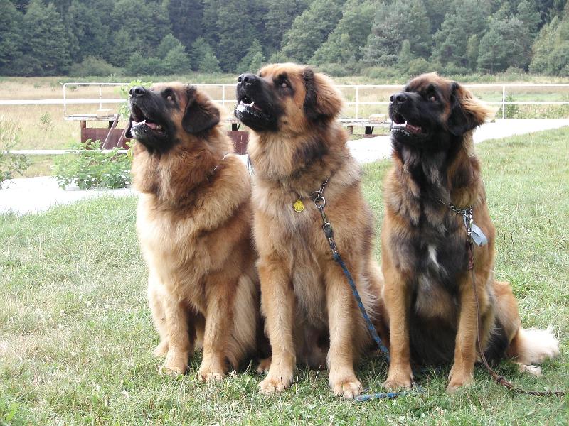 Foto: Rodinka z Miloti�ek-SV Zub�� 2005