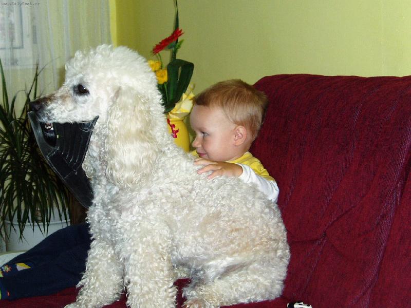 Foto: Willy a Honz�k-Sledujeme ve�ern��ka