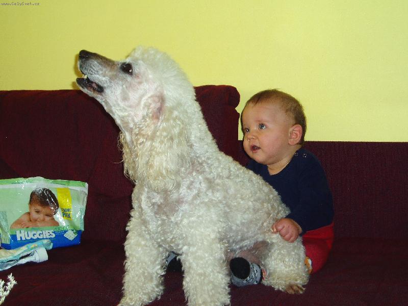 Foto: Willy a Kub��ek-Ke Kubovi v�s nepust�m,to v�bec nevad�,�e m� trh� chlupy,stejn� m� st�ih�te.