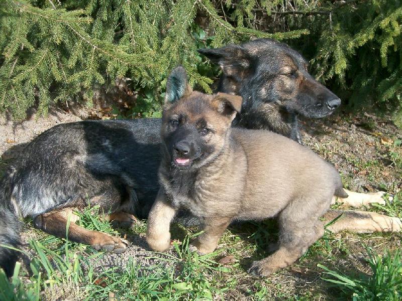 Foto: Ernika Polodr s m�mou Yaga Venu�ina soka-Na sv�t� je kr�sn�...