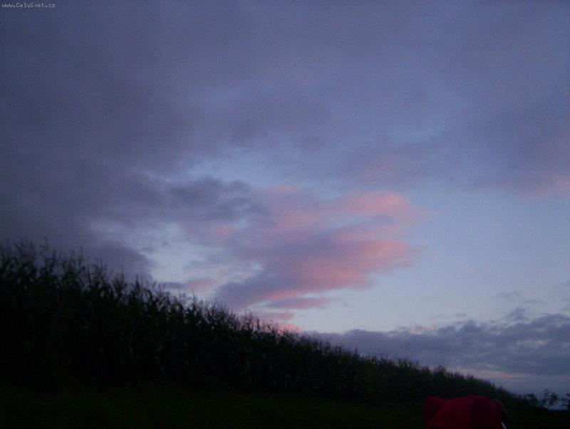 Foto: nebe a kuku�ice