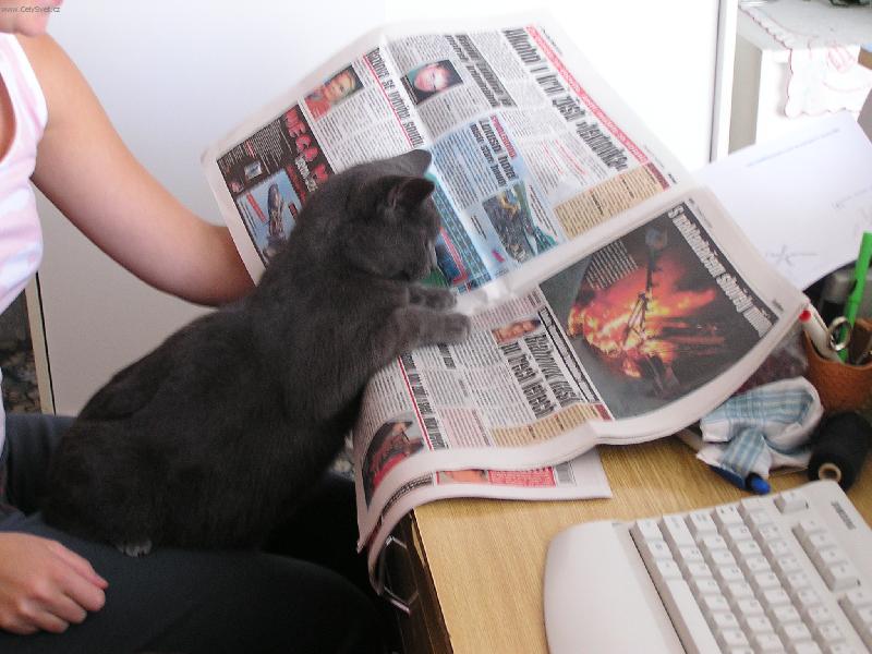 Foto: cici cte noviny