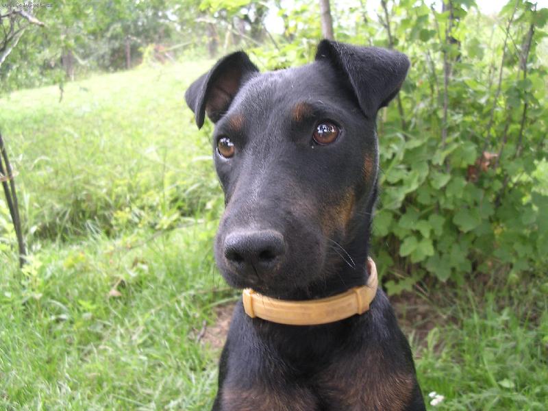 Foto: Cita z Land�tejna