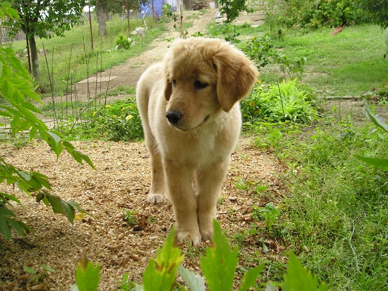 Foto: Kam zmizela ta ko�i�ka