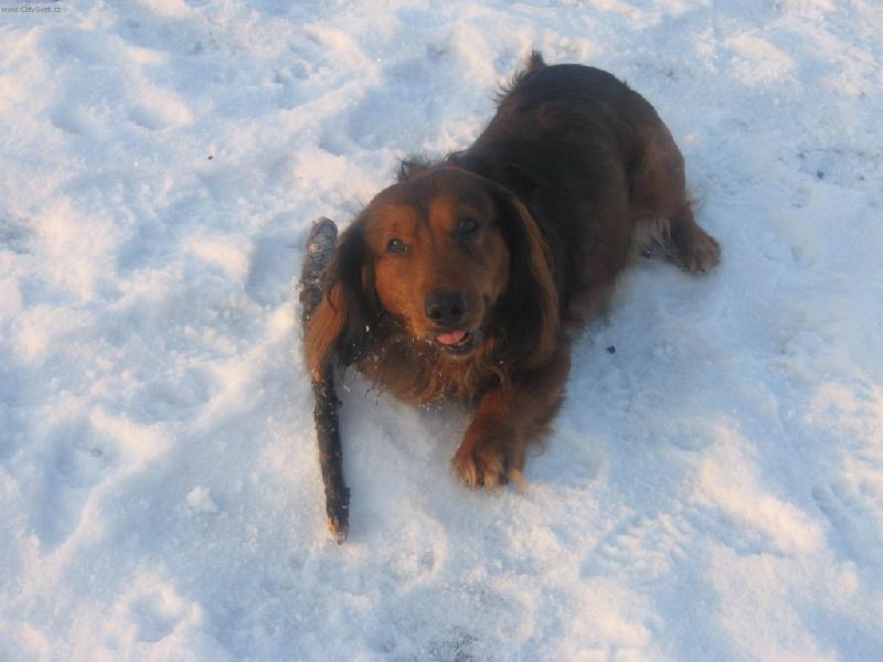 Foto: Bebecha-Tenhle klac��ek sem si ulovil pro sebe ale mo�na ze kdyz mi d� n�co na pap�n� tak se s tebou pod�lim:-))