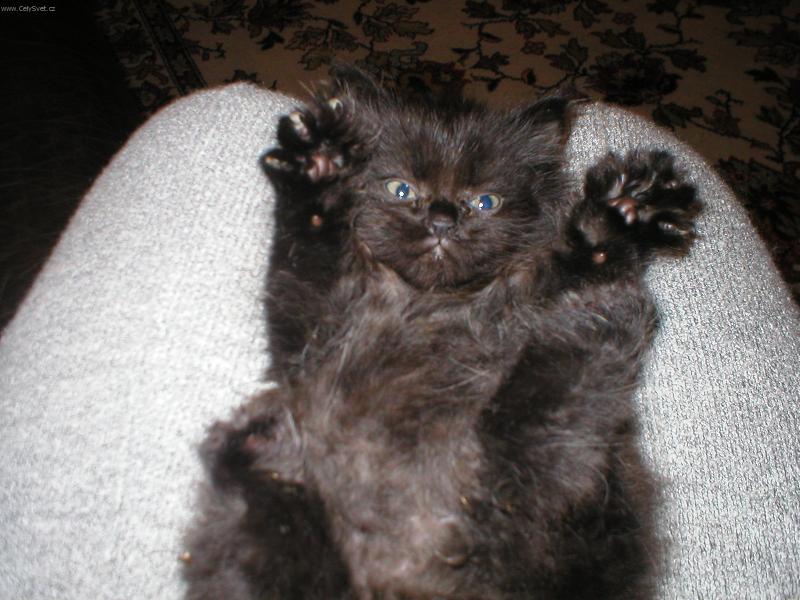 Foto: pozor-tak u� dost, j� to funguje