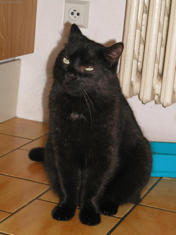 Foto: Mike�-L�ska, co u� je v nebi