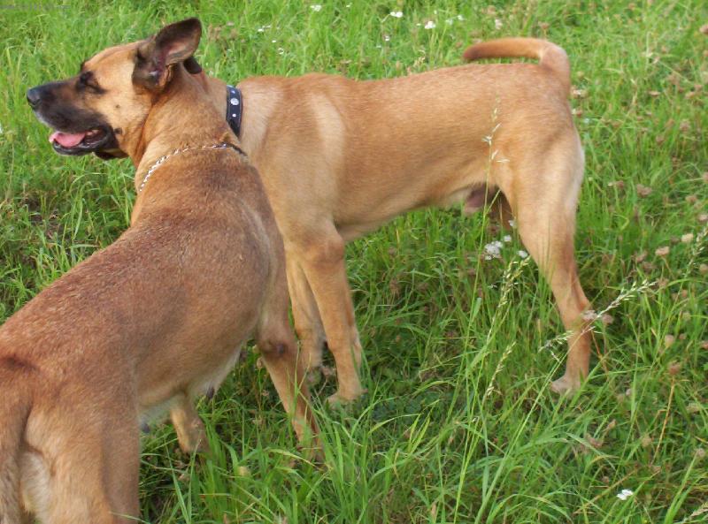 Foto: dv� t�la jedna hlava-dv� t�la jedna hlava