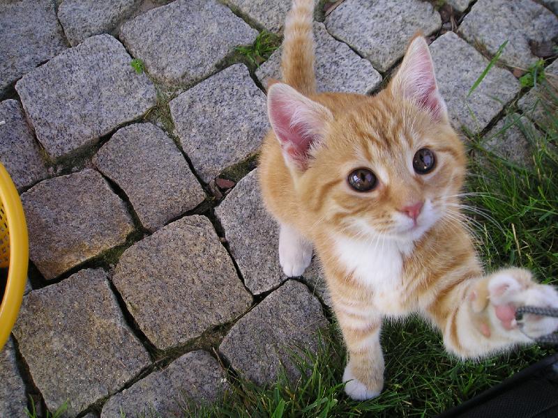 Foto: Dej mi ten fo��k