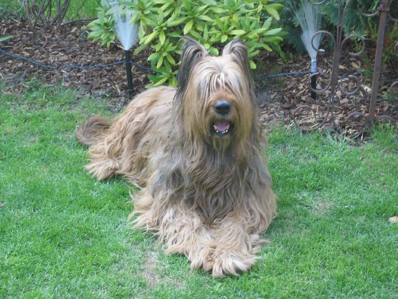 Foto: Star� d�ma odpo��v�-na�e "Pan� chlupat�"