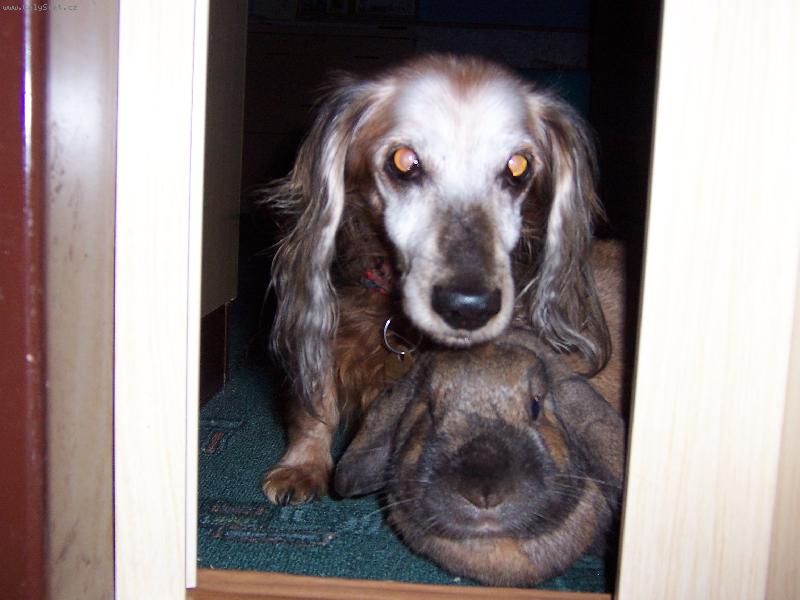 Foto: V�tejte u n�s.