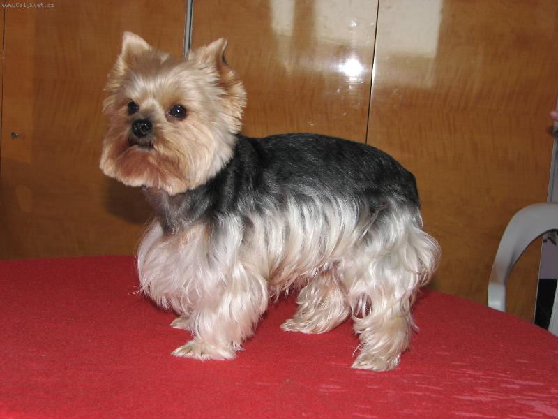 Foto: Elizabetka-Poj� si hr�t