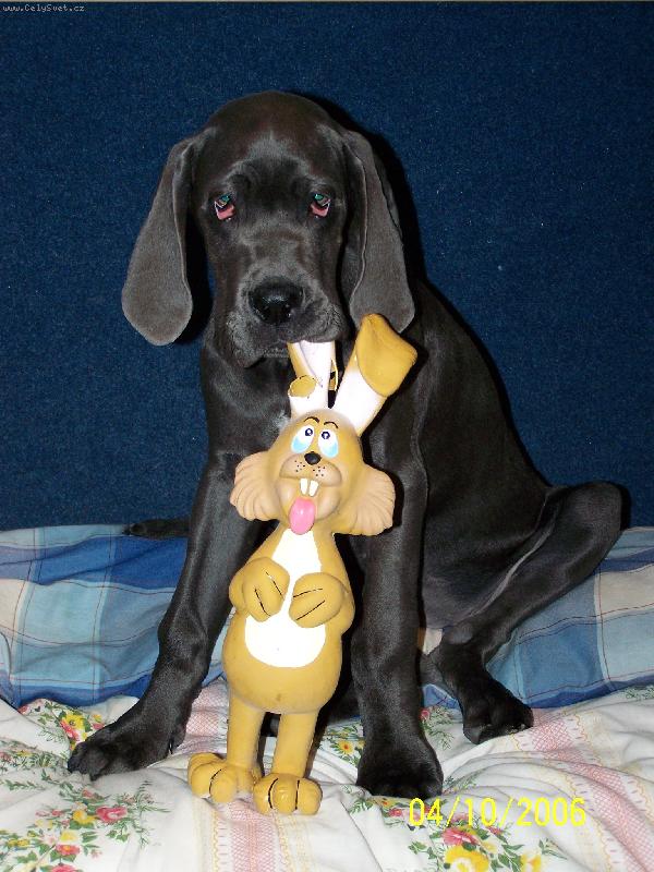 Foto: J� a m�j nejlep�� kamar�d-Kupodivu se u n�s kamar�d zdr�el jen n�kolik m�lo dn�....