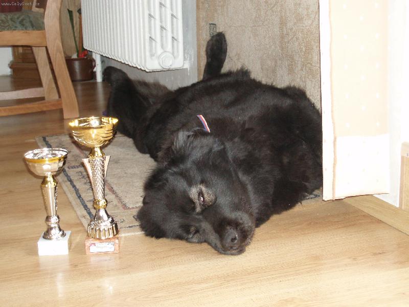 Foto: Odpo�inek-a m�m v�stavu za sebou