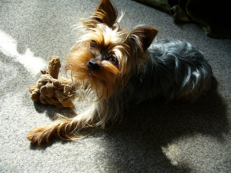 Foto: n� Ell��ek