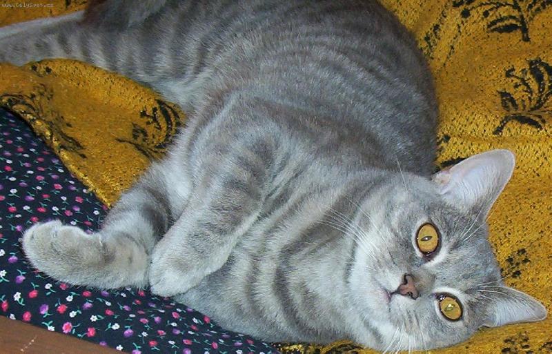 Foto: N� Chico-Stra�n� r�d se fot����m!!!! :-)