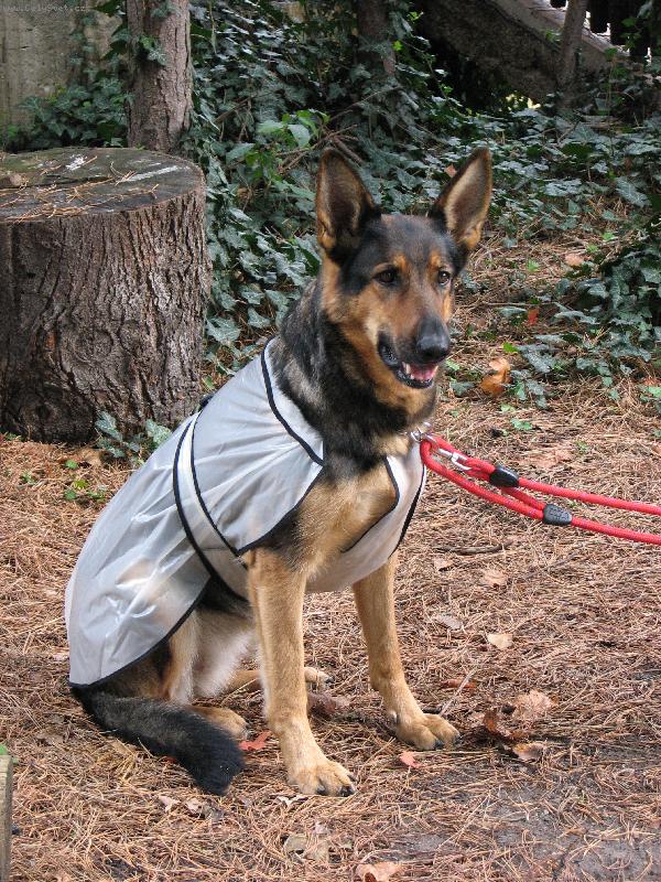 Foto: Bonitka-Kab�tek proti de�ti