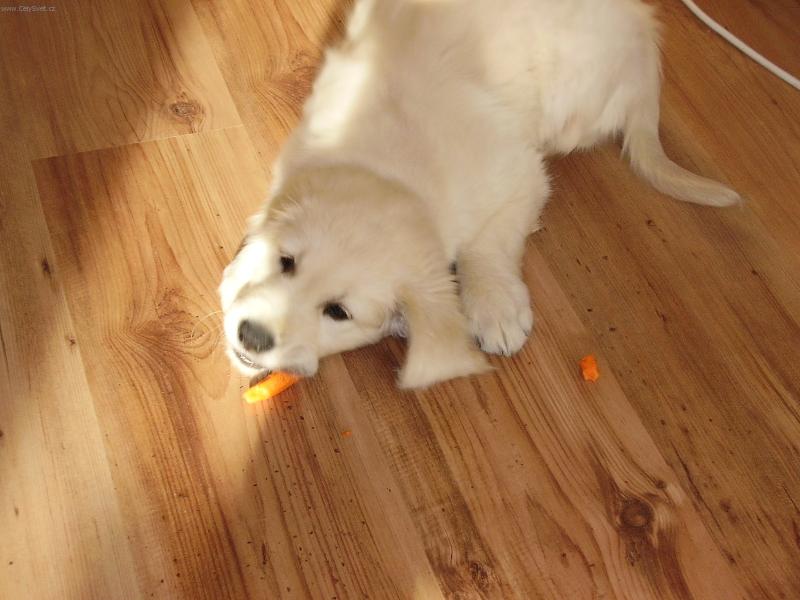 Foto: Presnidavka-Tohle ja miluju...je to dobrutka...