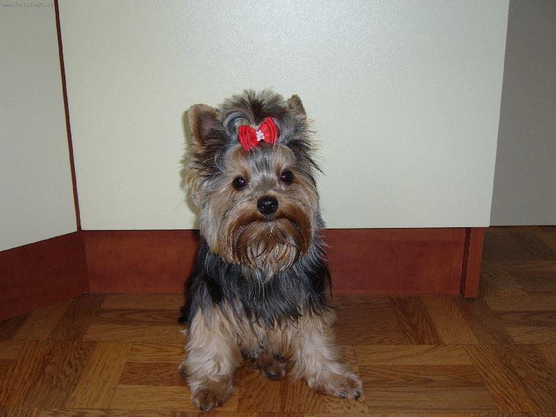 Foto: Sendyne�ka-�sm�v pros�m.....