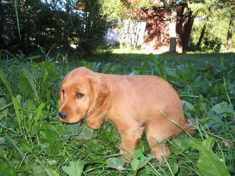 Foto: �t�n� kokr-u� to nem��u vydr�et