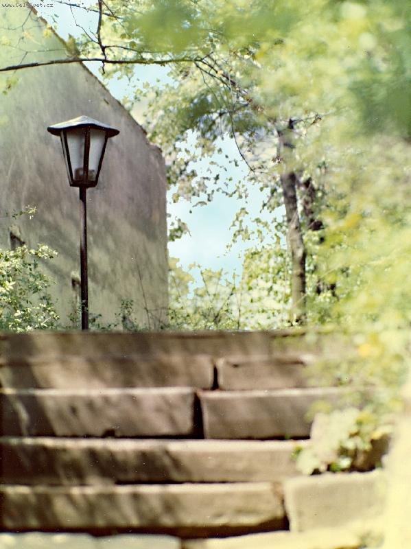 Foto: Vl�� m�k-p�i toulk�ch p��rodou