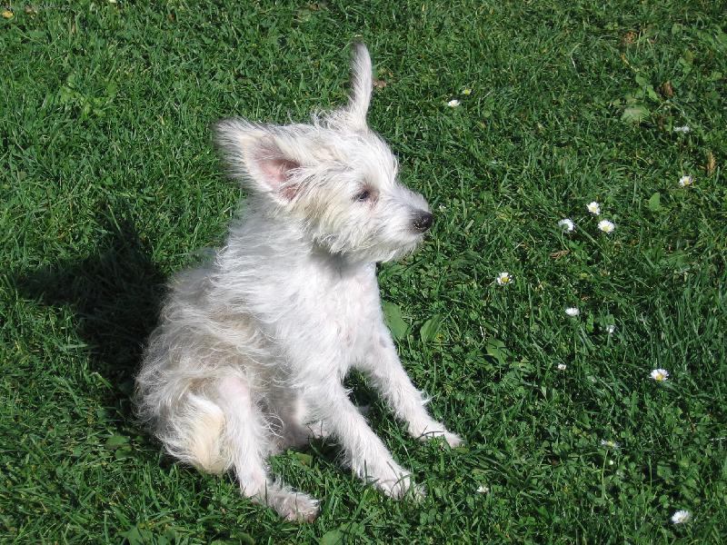 Foto: S v�trem o z�vod-Jak jsem bojovala s v�trem