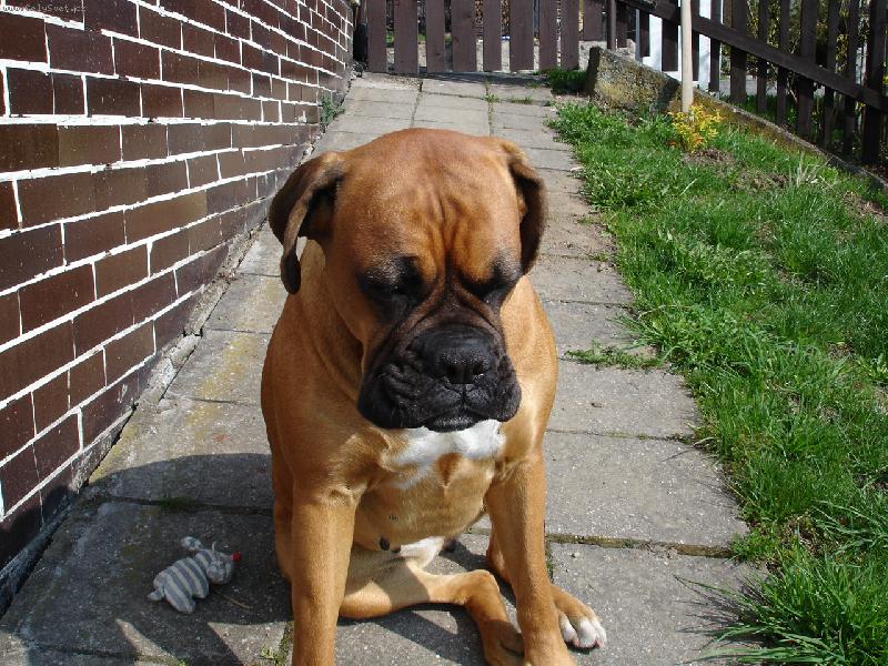 Foto: To slun��ko tak kr�sn� h�eje.