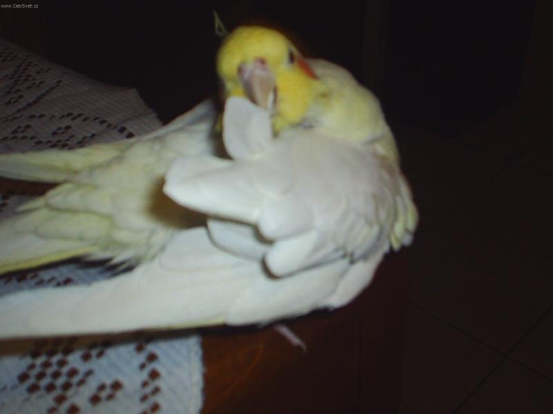 Foto: Pep��ek-Tak to jsem j� Pep��ek