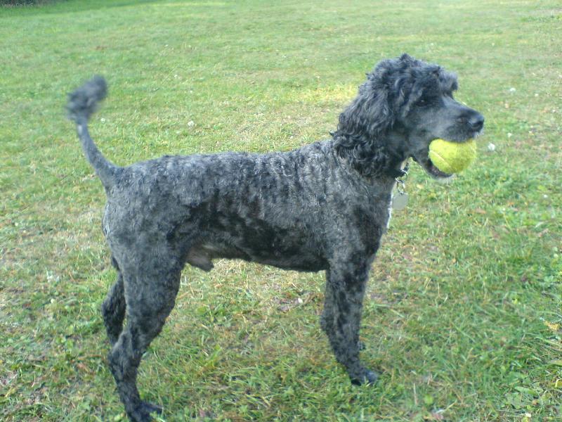 Foto: R�a a m��ek-R�a a m��ek