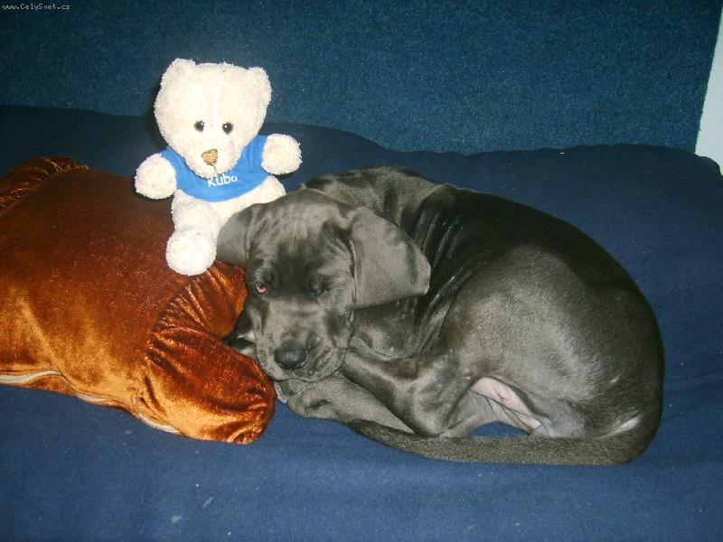 Foto: V�e m�m pod kontrolou-Kub��ek a pol�t��ek - to n�m nesm�lo chyb�t p�i us�n�n�