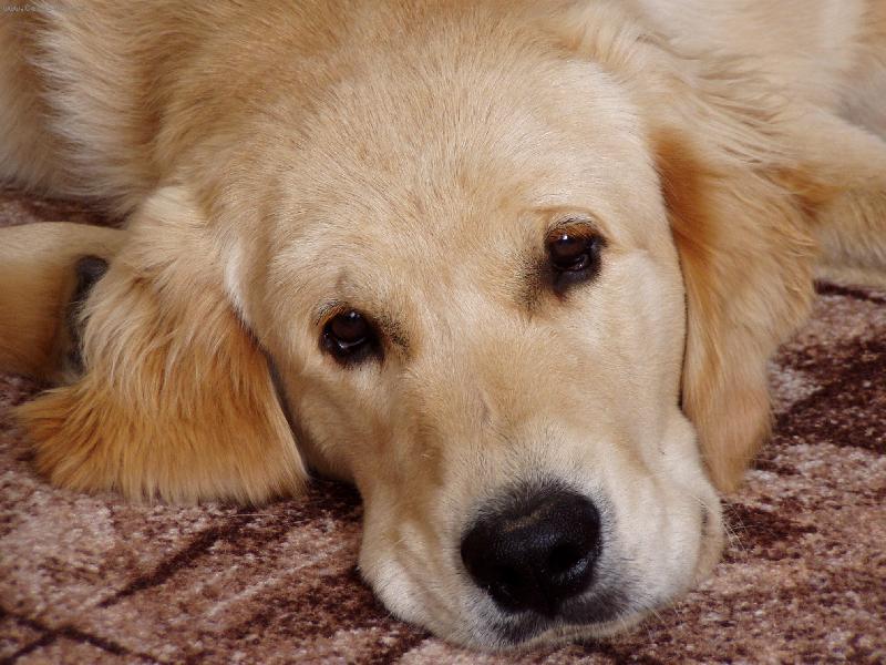 Foto: "Tak u� to pros�m zm��kni"