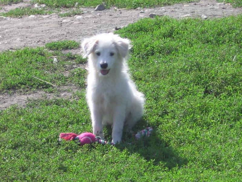 Foto: ...�ol��ek...-tady si lebedim na zehrad�