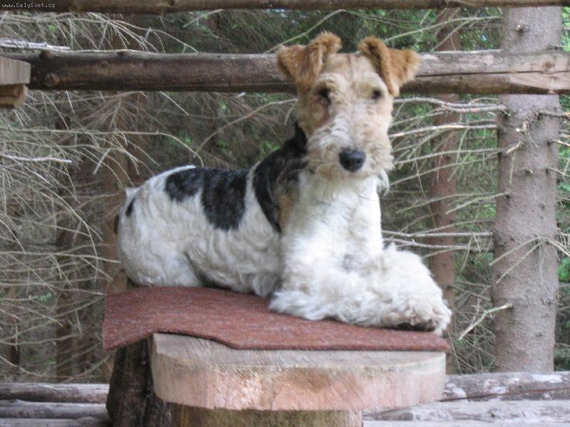 Foto: j�-moje sebev�dom�