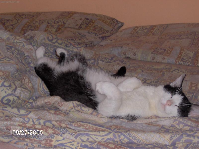 Foto: na� �i�manek