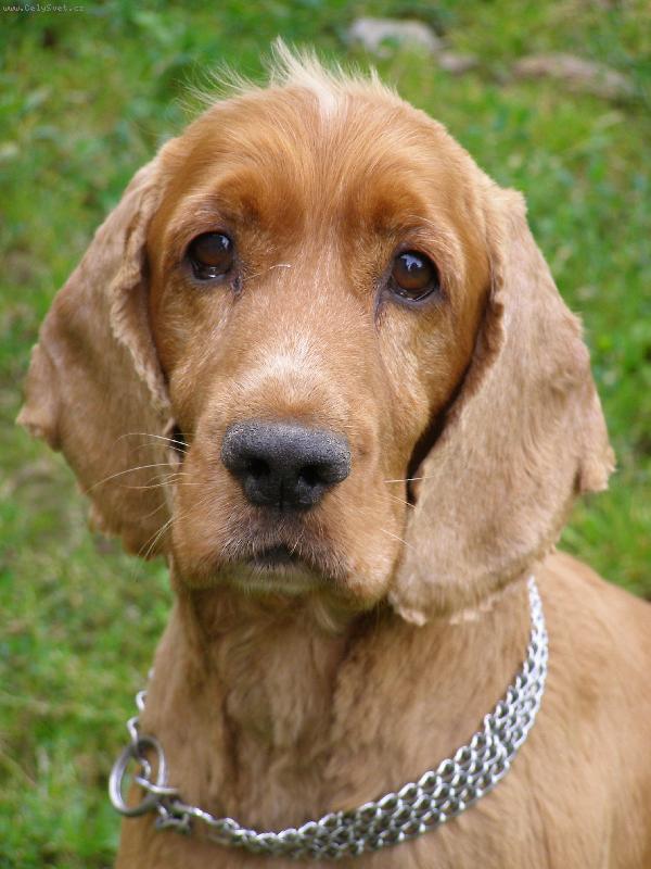 Foto: Rendy,Renou�ek-�e mi to tu slu��?