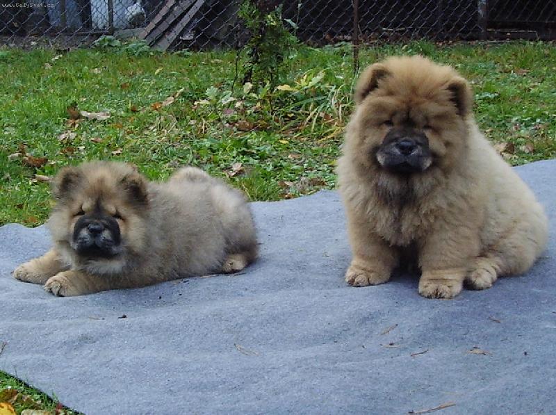 Foto: Rozh�dan� mal� a velk� sestra:)-opalov�n� na slun��ku