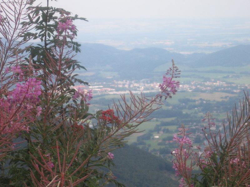 Foto: Pohled na okoln� sv�t......-Nevinn� kr�sa ..