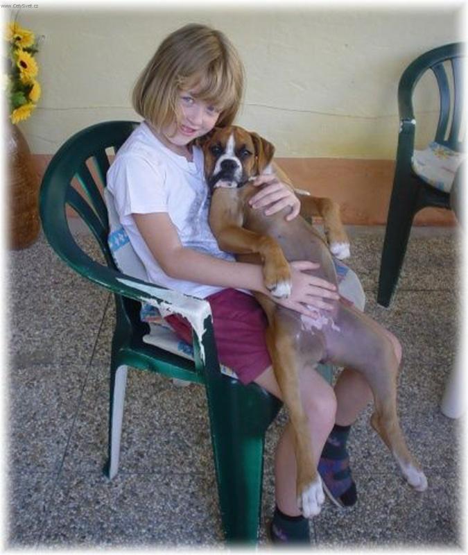 Foto: Toto je havaj.....-Jak si n� pejsek hov�.