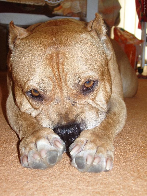 Foto: p�jde� si u� se mnou hr�t???